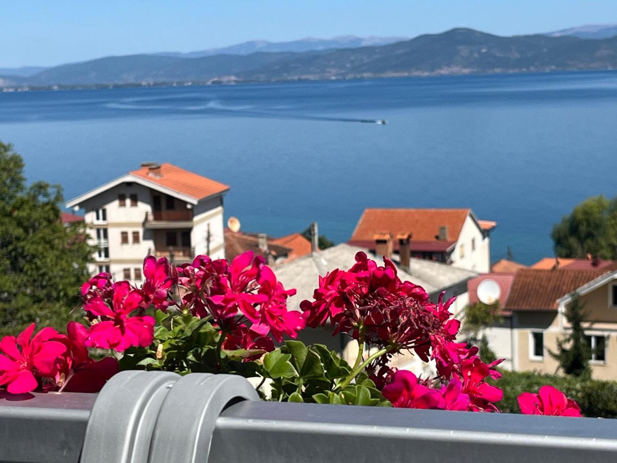 Vila Vista Magica Radozda Struga Eksteriør billede